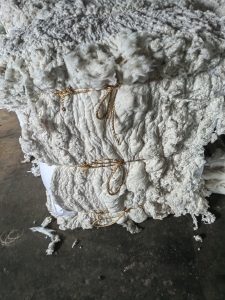 涤棉车肚，破籽，纯棉车肚，落棉，大量出售