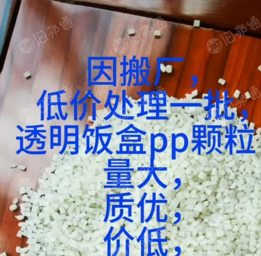 透明饭盒PP颗粒出售，因搬厂低价处理