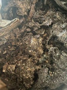 气包铝渣油渣，现货20吨左右