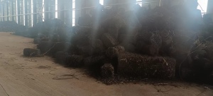 废铁压块长期供应，月供500吨