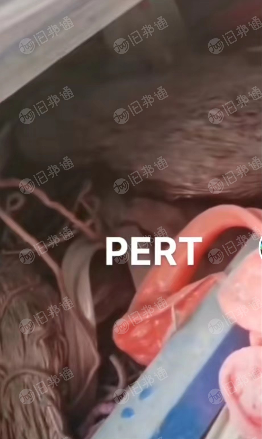 PERT破碎料出售,现货100吨