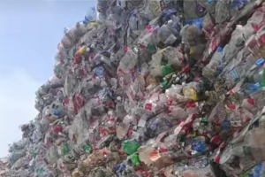 三色瓶砖长期出售