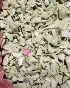 PE鞋楦破碎料长期出售