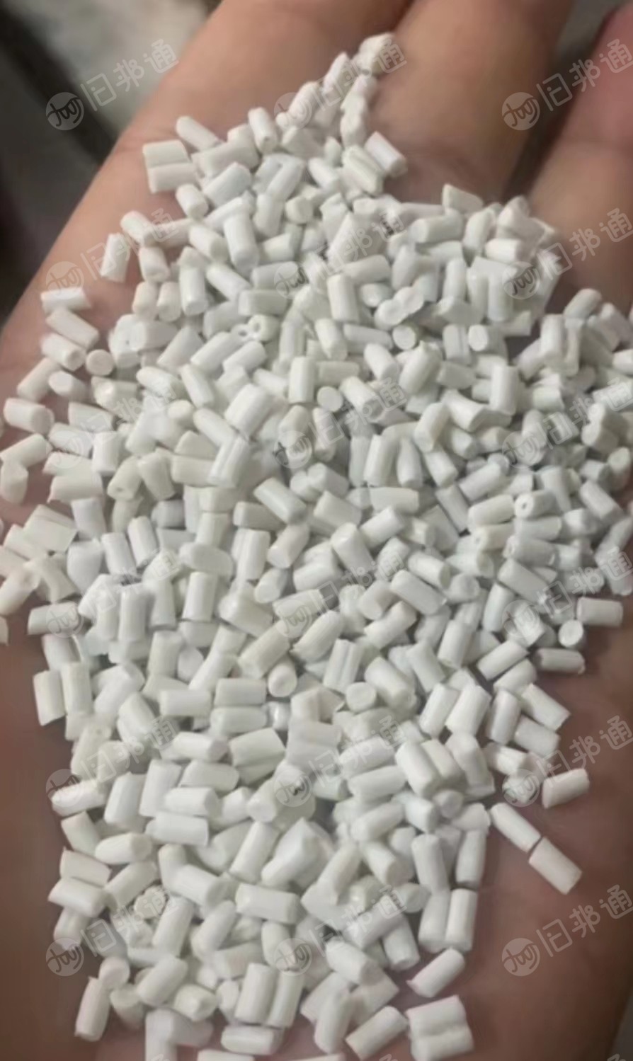 PP奶白颗粒,透明饭盒颗粒,长期有货出售