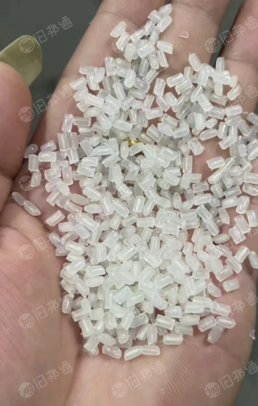 PP奶白颗粒,透明饭盒颗粒,长期有货出售
