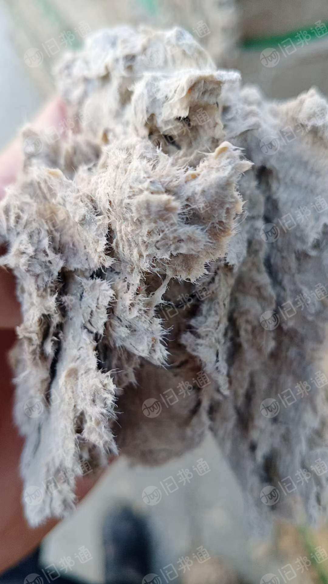 淋膜纸浆,利乐纸浆长期供应,长纤维无杂质