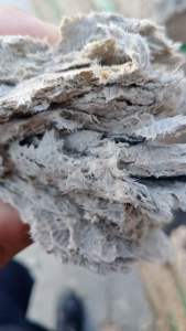 淋膜纸浆，利乐纸浆长期供应，长纤维无杂质