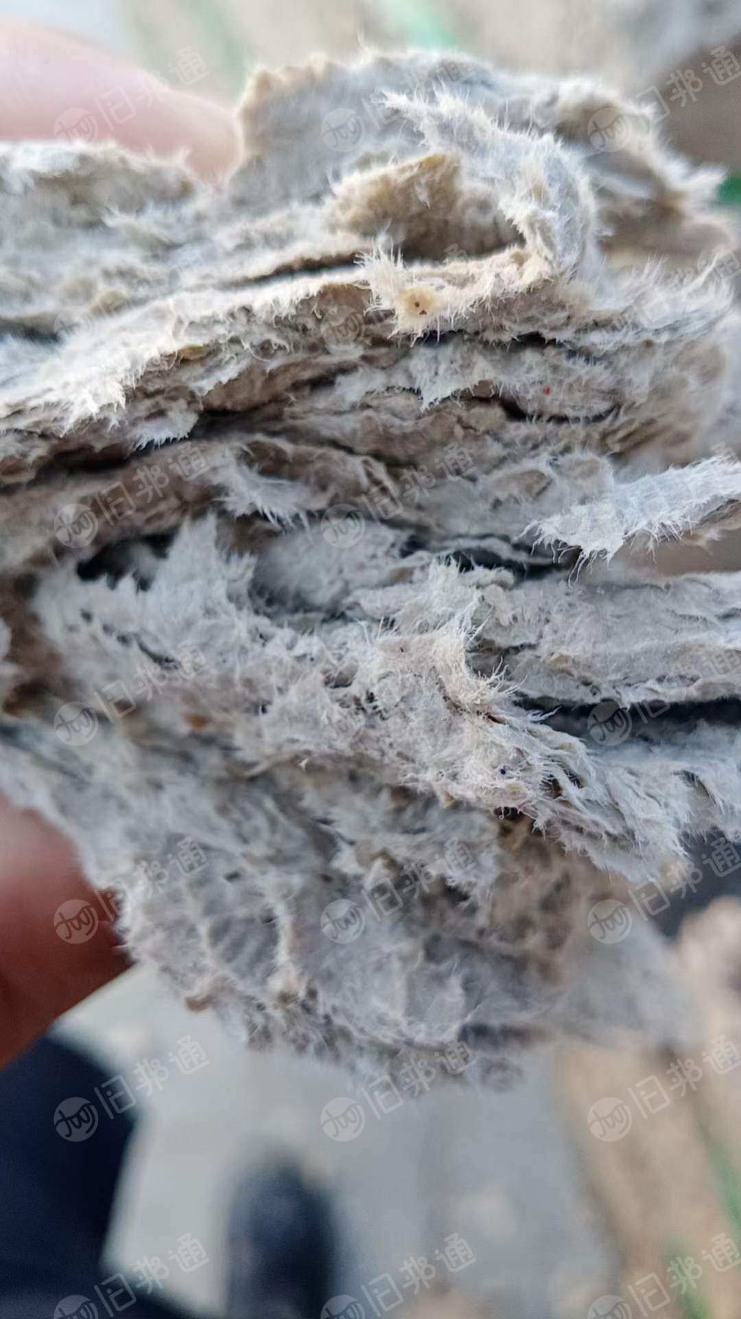 淋膜纸浆,利乐纸浆长期供应,长纤维无杂质