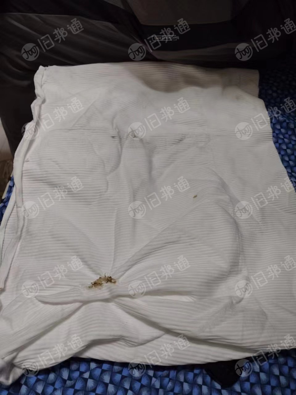 丙纶废丝,氨纶废丝,涤纶,锦纶废丝,废丝,等都有,长期出售