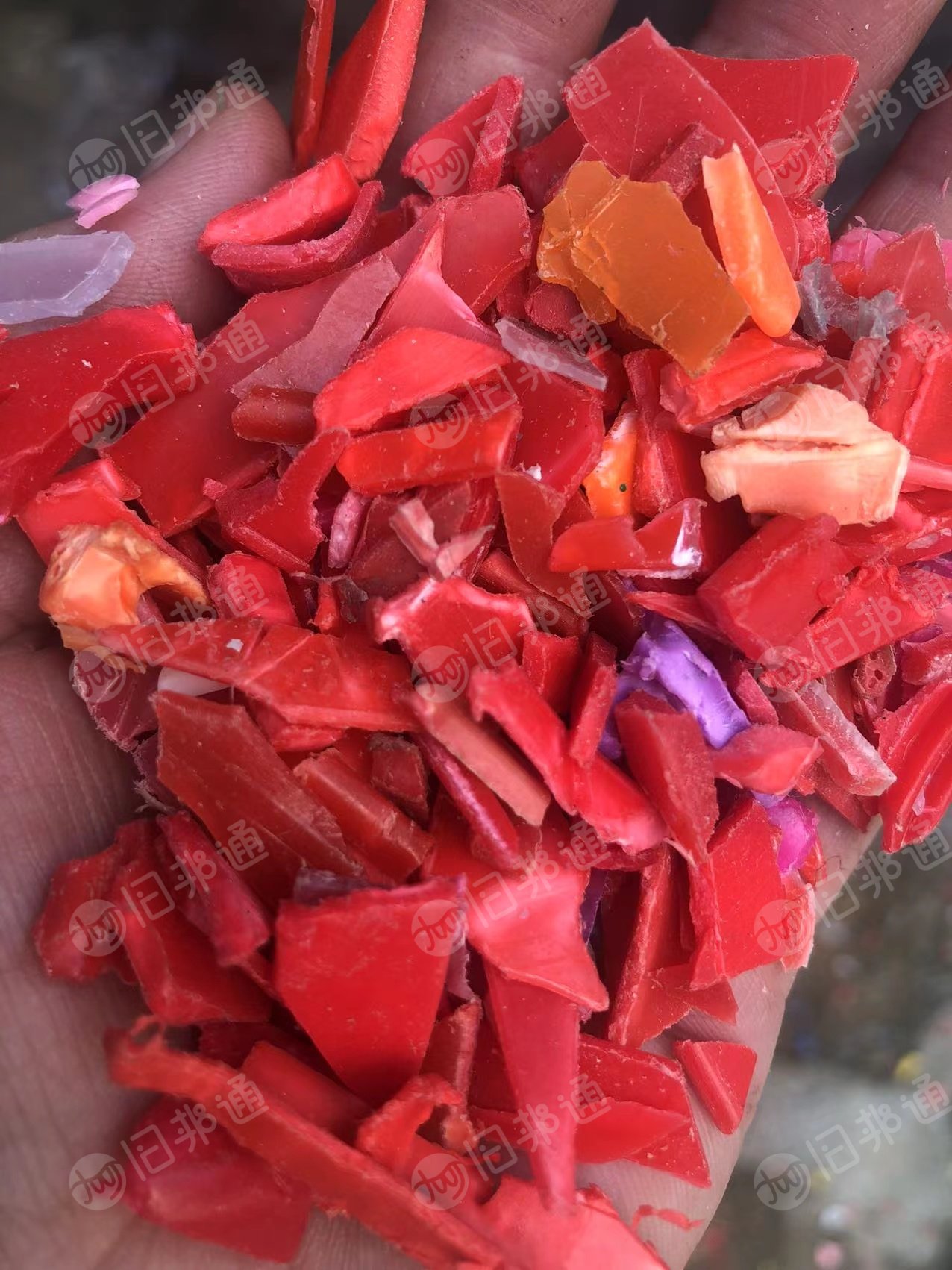 青色共聚丙破碎料,蓝色共聚丙破碎料,红色共聚丙破碎料,干净的,长期出售