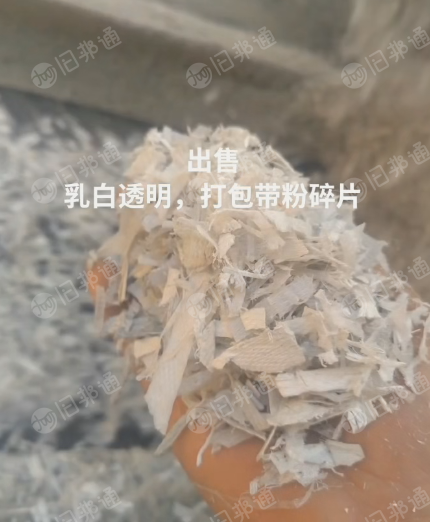 乳白透明pp打包带破碎料大量出售