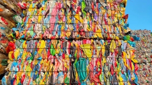 花乙压块长期出售