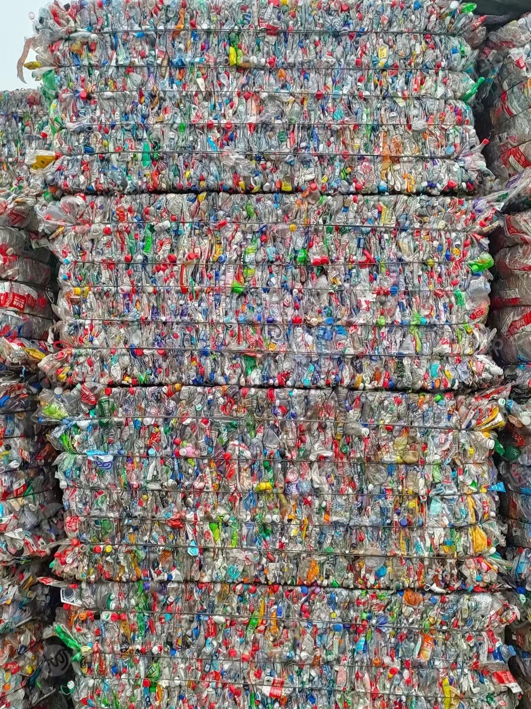三色毛瓶砖长期大量出售