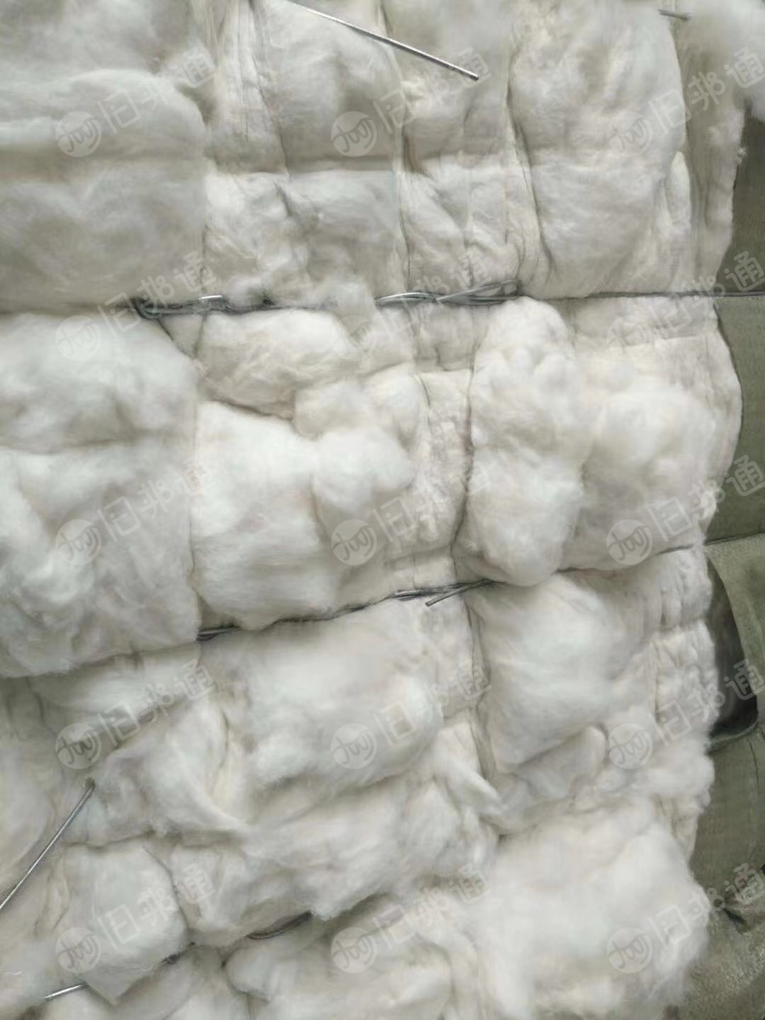 开松好牛仔棉，95棉，月供500吨，长期大量出售
