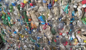 三色毛瓶砖长期出售