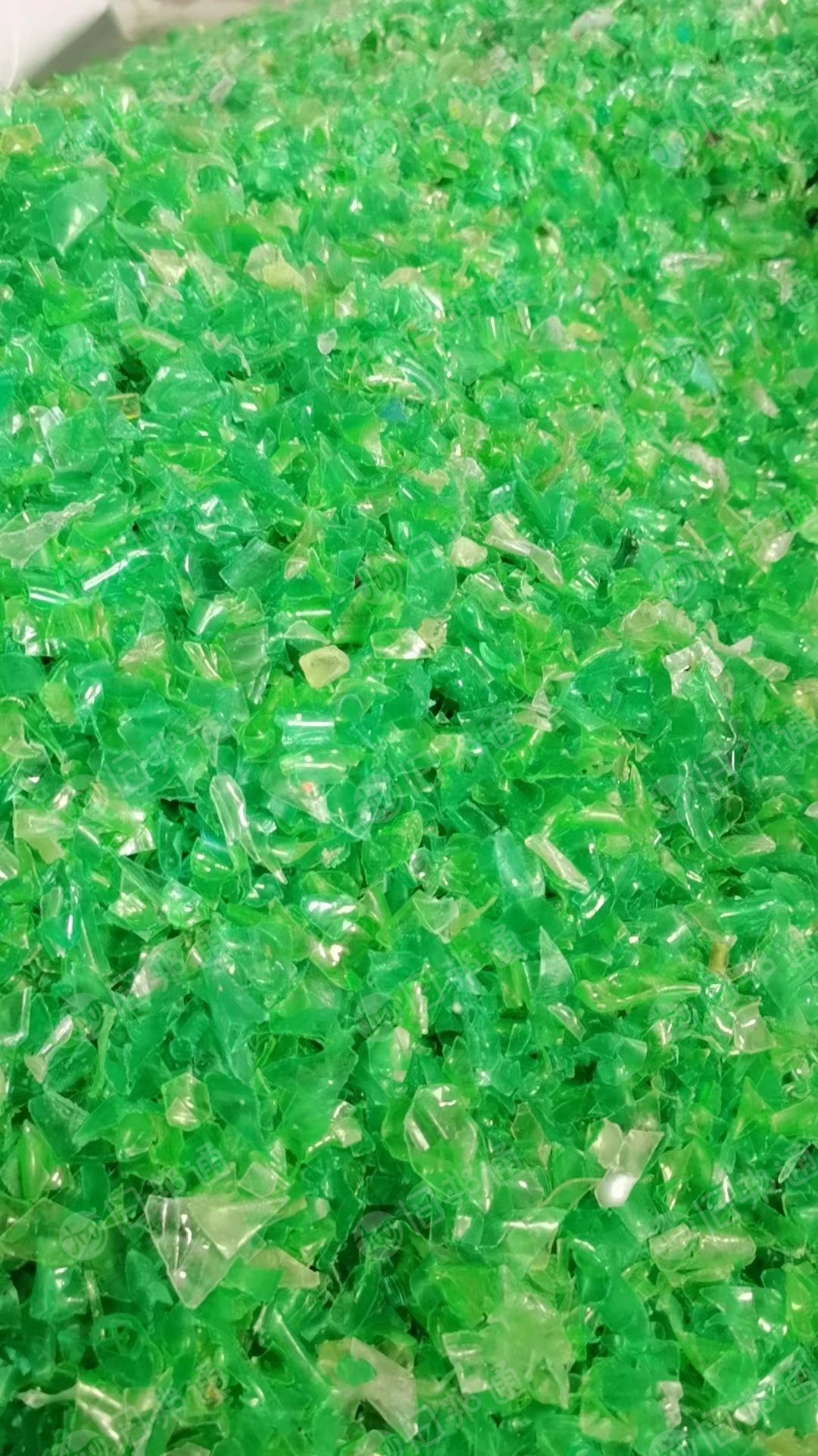 热洗上机纯绿瓶片,大量出售