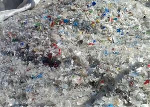 干粉蓝白片大量出售