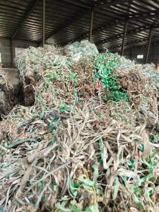 PP和PET打包带混在一起现货25吨便宜处理