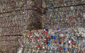 纯白净砖脱标含盖大量出售