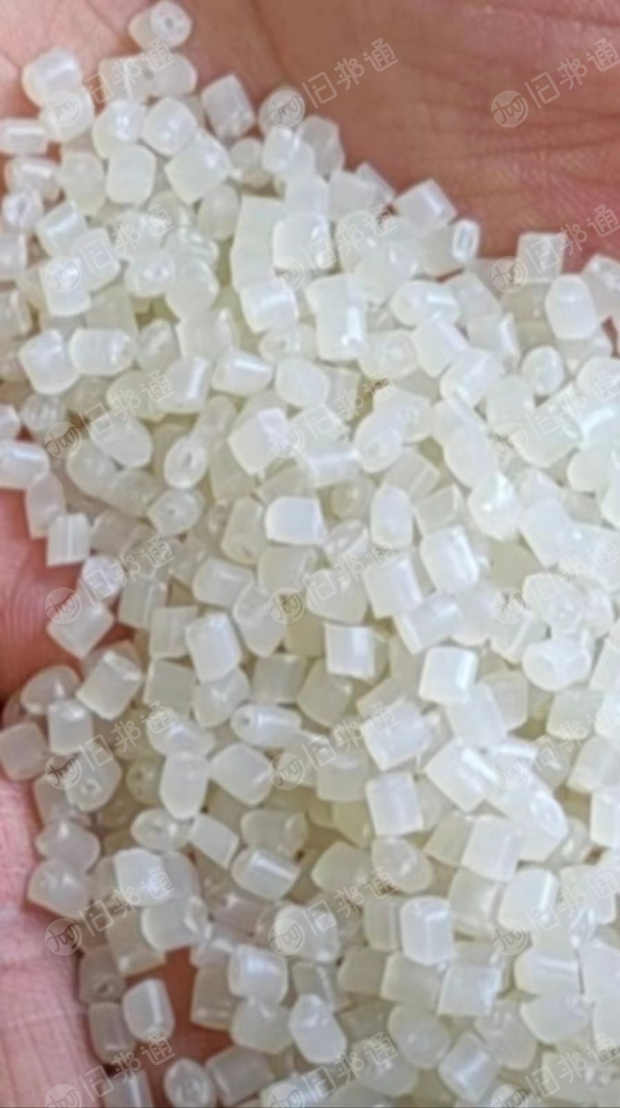 PP透明丙颗粒,饭盒颗粒长期有货出售