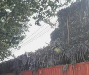 大量出售压包好的滴灌带