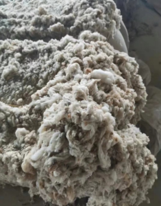 火烧棉大量出售，可直接上纺