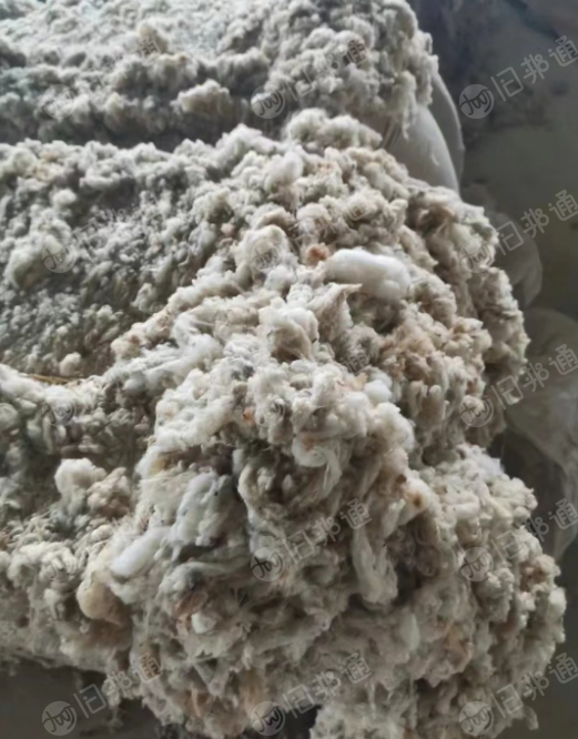 火烧棉大量出售,可直接上纺