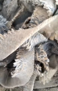 半精纺纯毛料出售