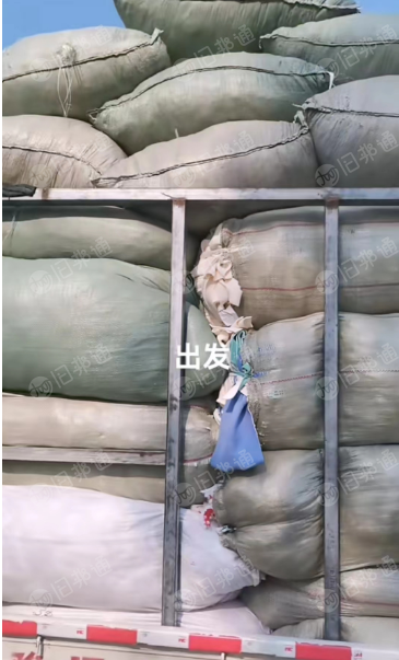 浅牛筋长期大量出售