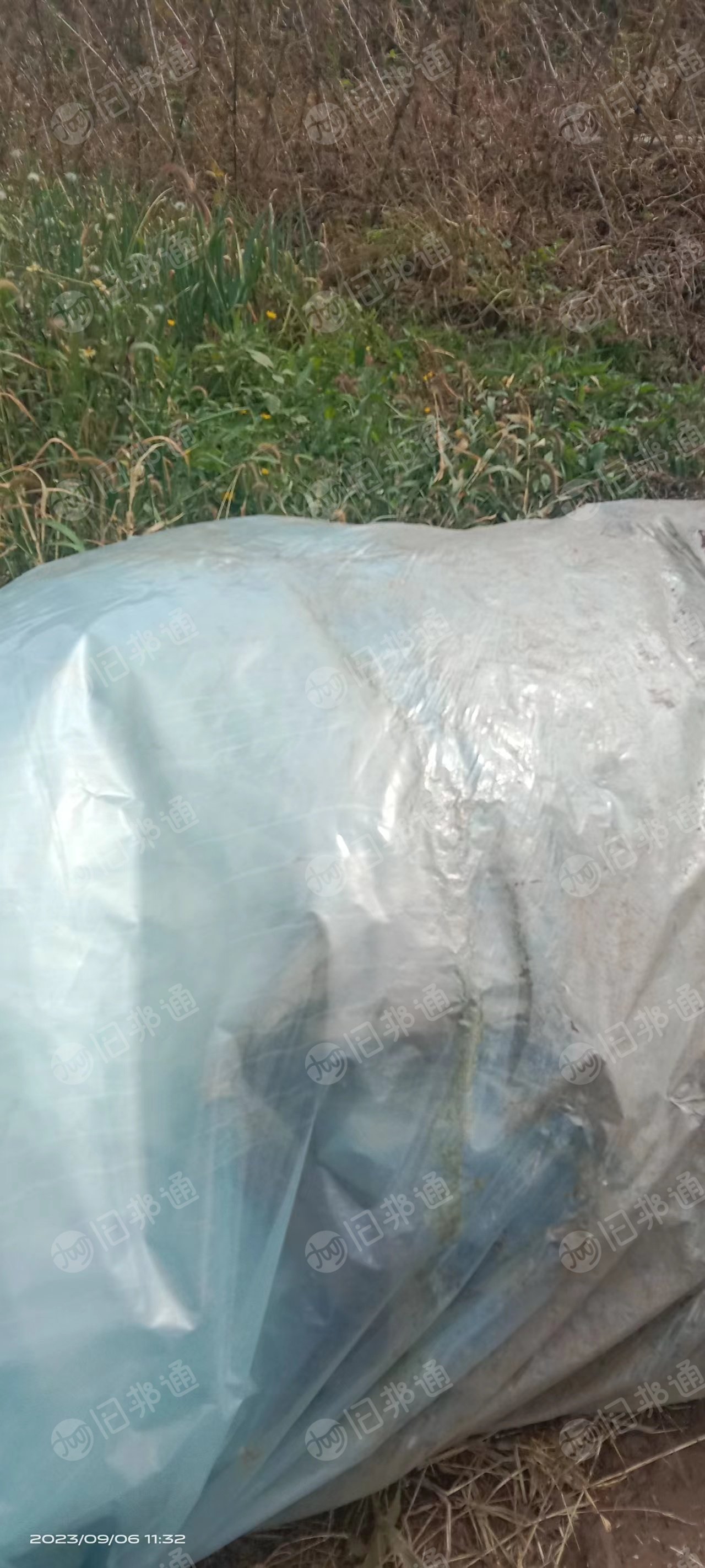大量出售大棚膜毛料,种西瓜下来的