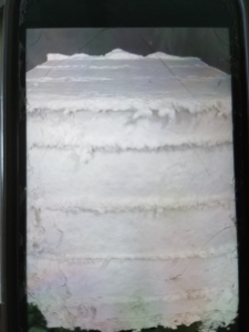 脱脂粉尘，木桨粉，磨毛，大量出售