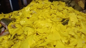 黄色淋膜纸废料长期供应