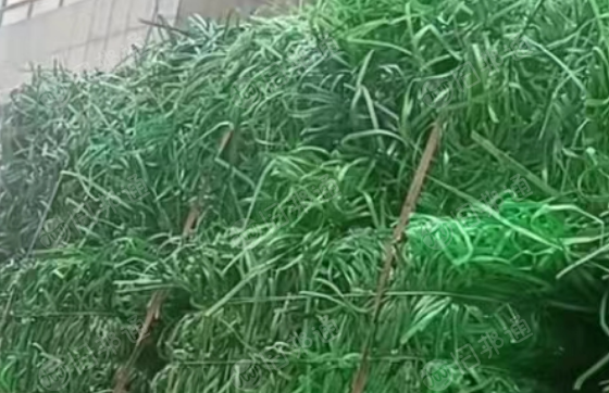 PET打包带废料长期出售