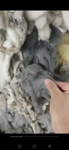 废纺织品棉条，废丝长期回收