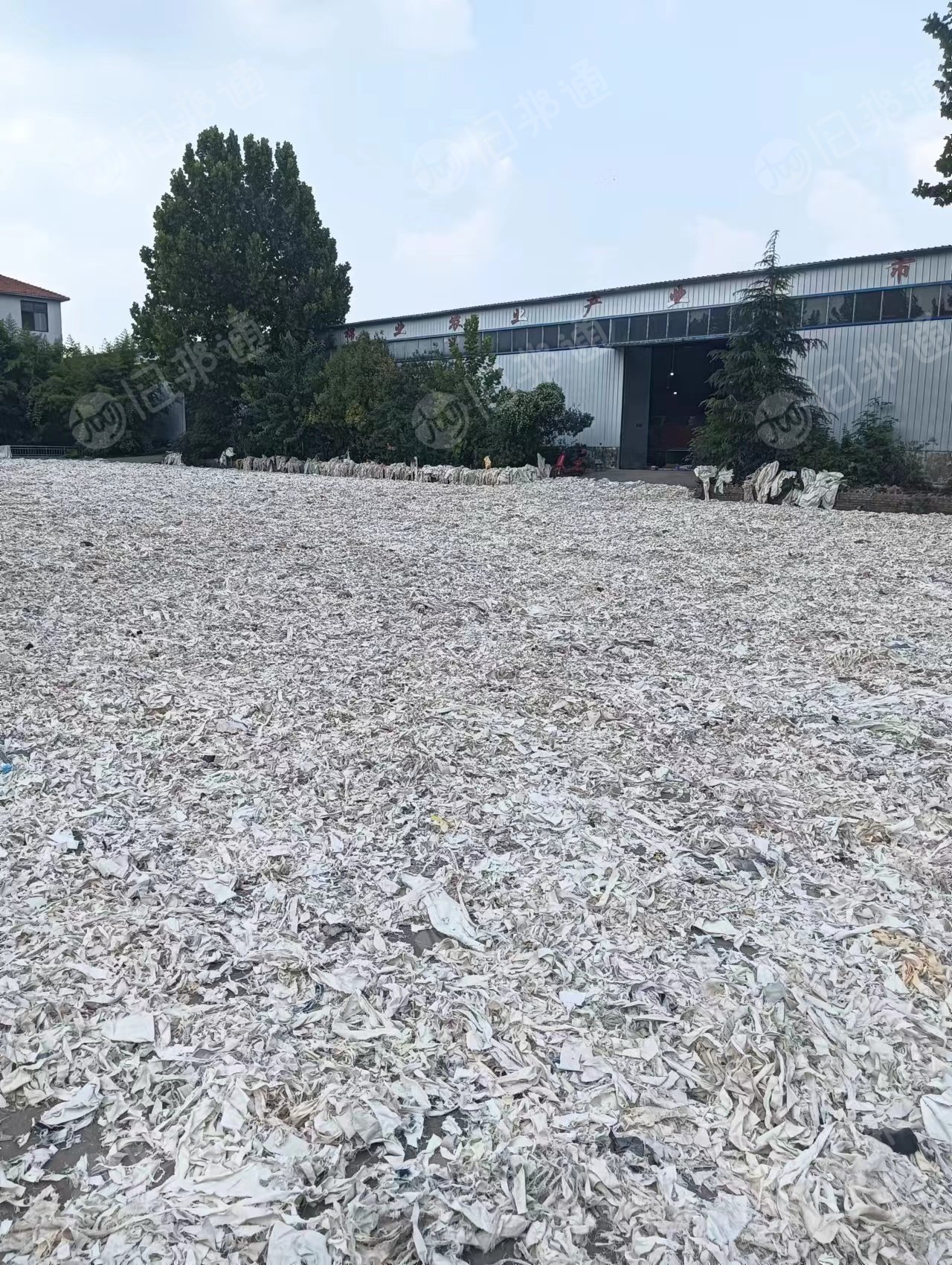 牛仔漂白布长期大量回收
