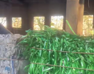 PET打包带毛料常年出售