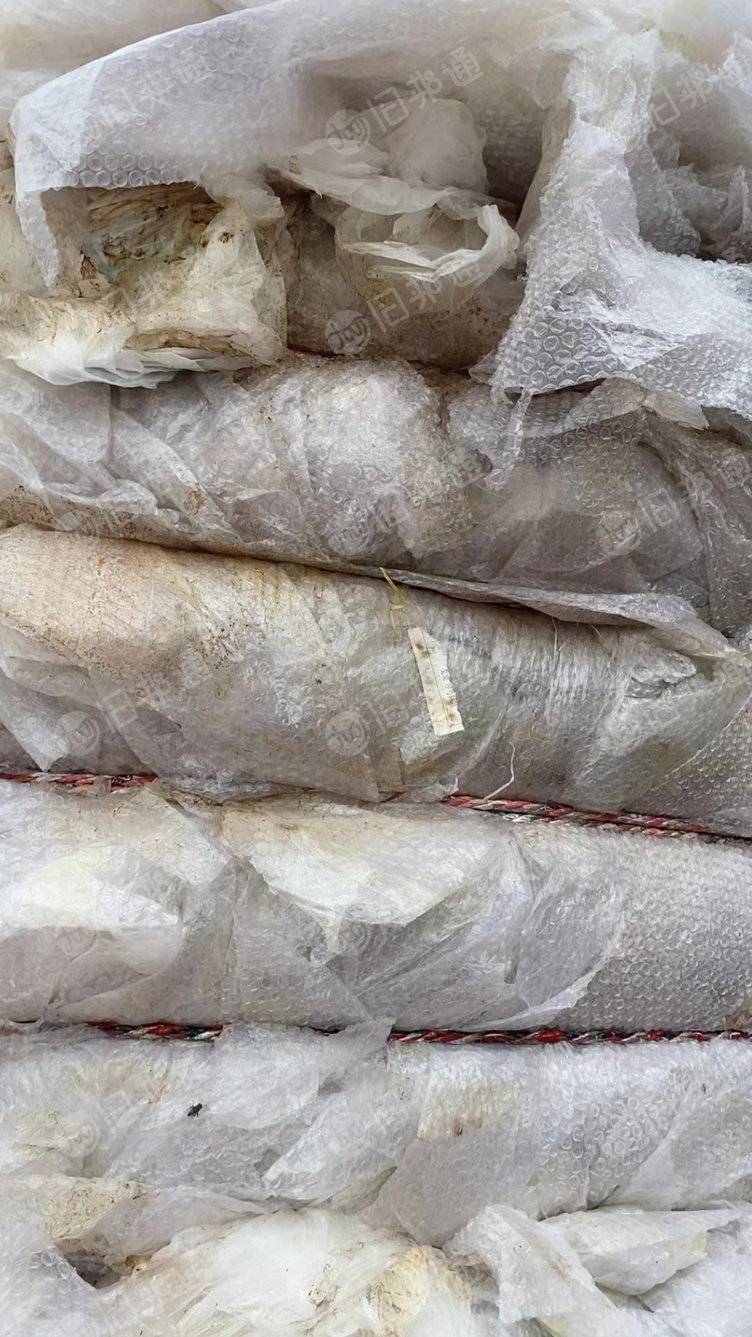 高压膜废料长期出售