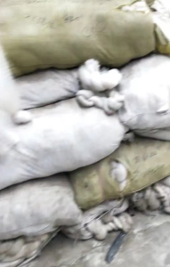 尼龙废丝下脚料长期出售