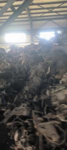 拆车厂出售汽车机，现货几十吨，长期大量有货