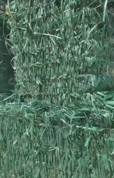 长期出售绿色打包带毛料