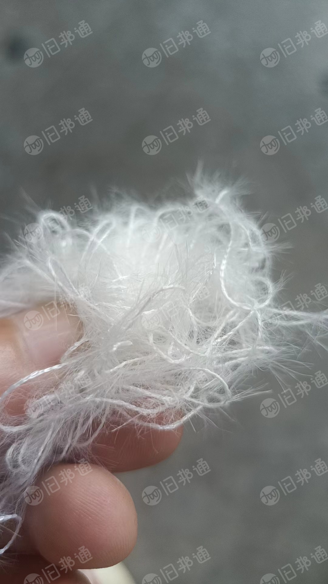 白色涤纶废丝,涤纶造粒丝,钩边机下来的,长期出售