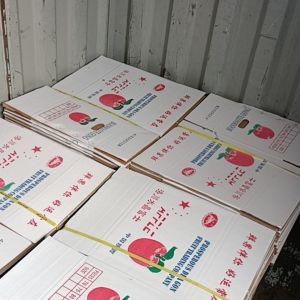 二手苹果纸箱长期供应