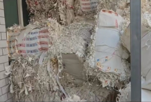 纯白口杯纸，小花口杯纸大量回收