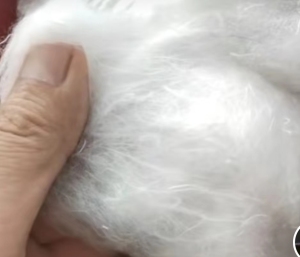 出售浆丝开花料，土工布白色开花料