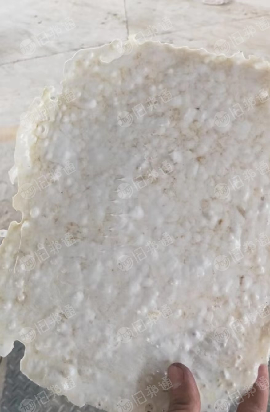 白色涤纶泡料,大量出售