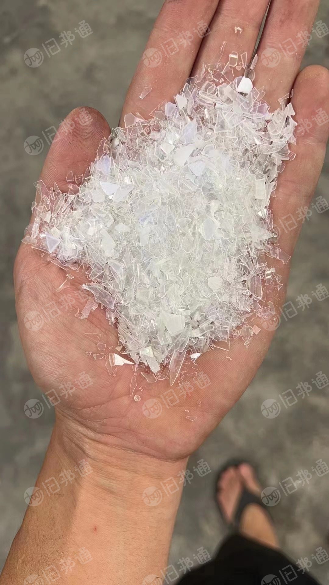 透明丙破碎料,饭盒破碎料,干净直接上机注塑,现货够车,常年出售