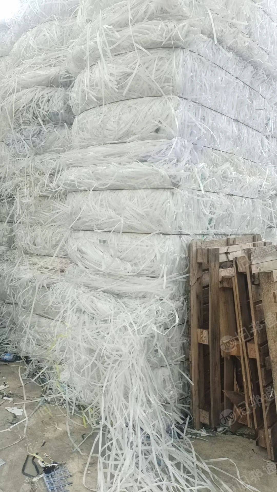 大量出售透明PP打包带!一手厂货