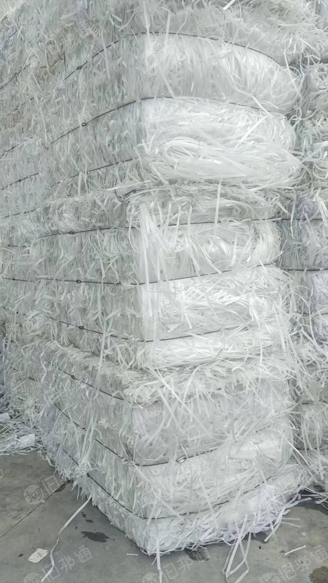 大量出售透明PP打包带!一手厂货