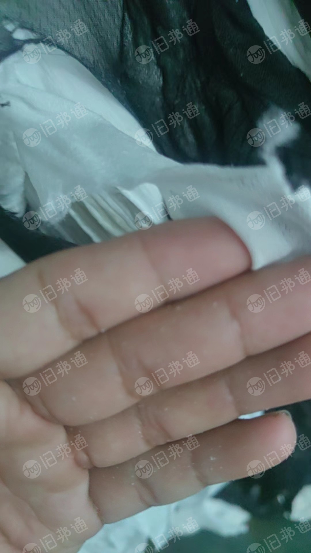 化纤开花料长期出售,现货200吨