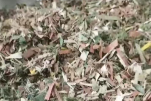 PP打包带破碎料长期出售